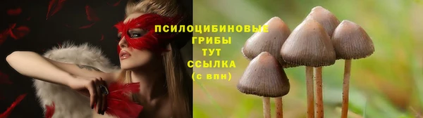 таблы Нея