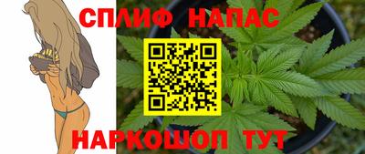 гашик Волжский