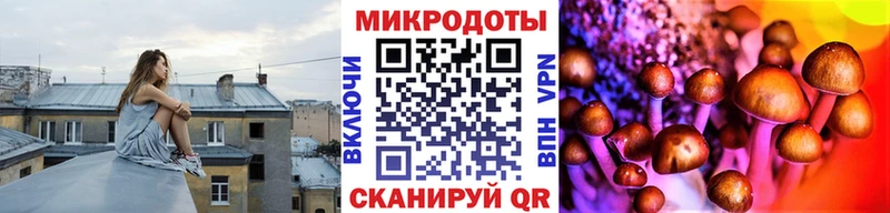 наркота  Рославль  Галлюциногенные грибы прущие грибы 
