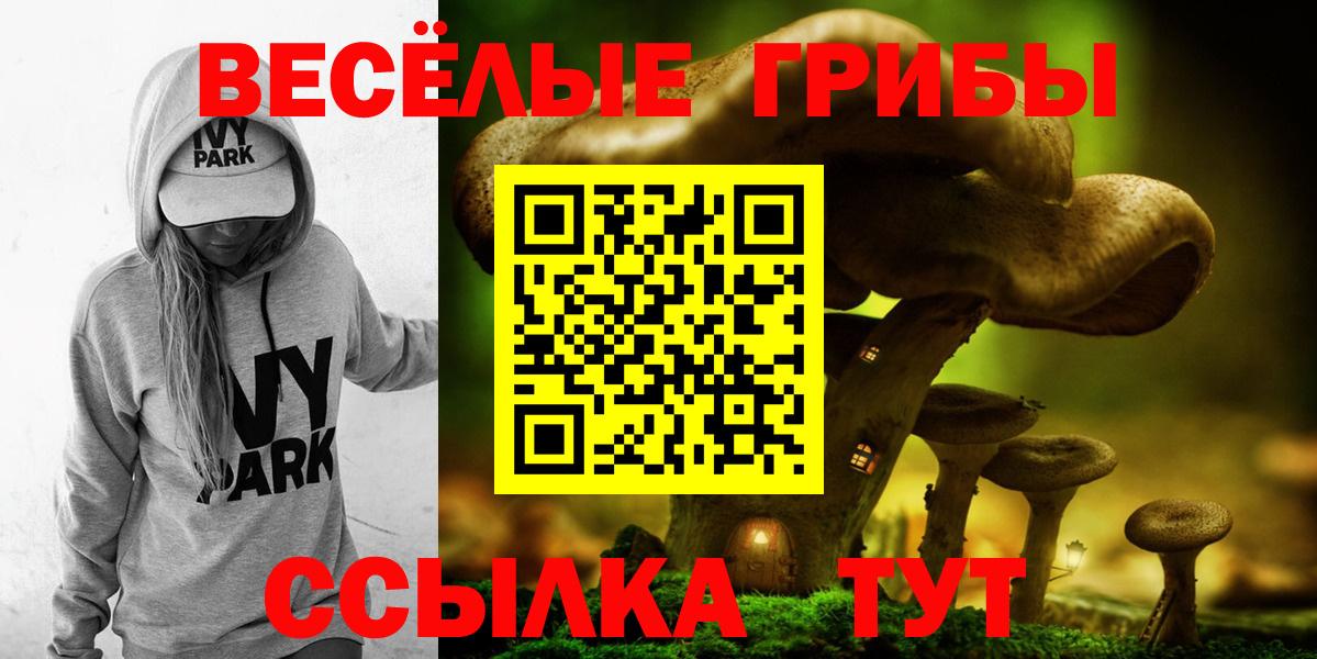 Галлюциногенные грибы GOLDEN TEACHER Рославль
