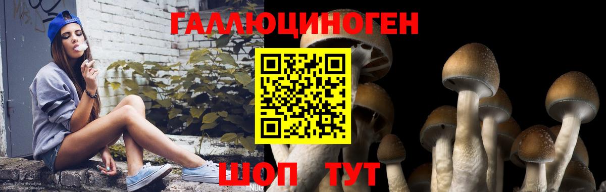 Галлюциногенные грибы GOLDEN TEACHER  Вход с VPN  Рославль  Галлюциногенные грибы мицелий 